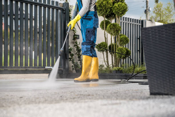 Trusted Banks Springs, LA Pressure Washing Experts